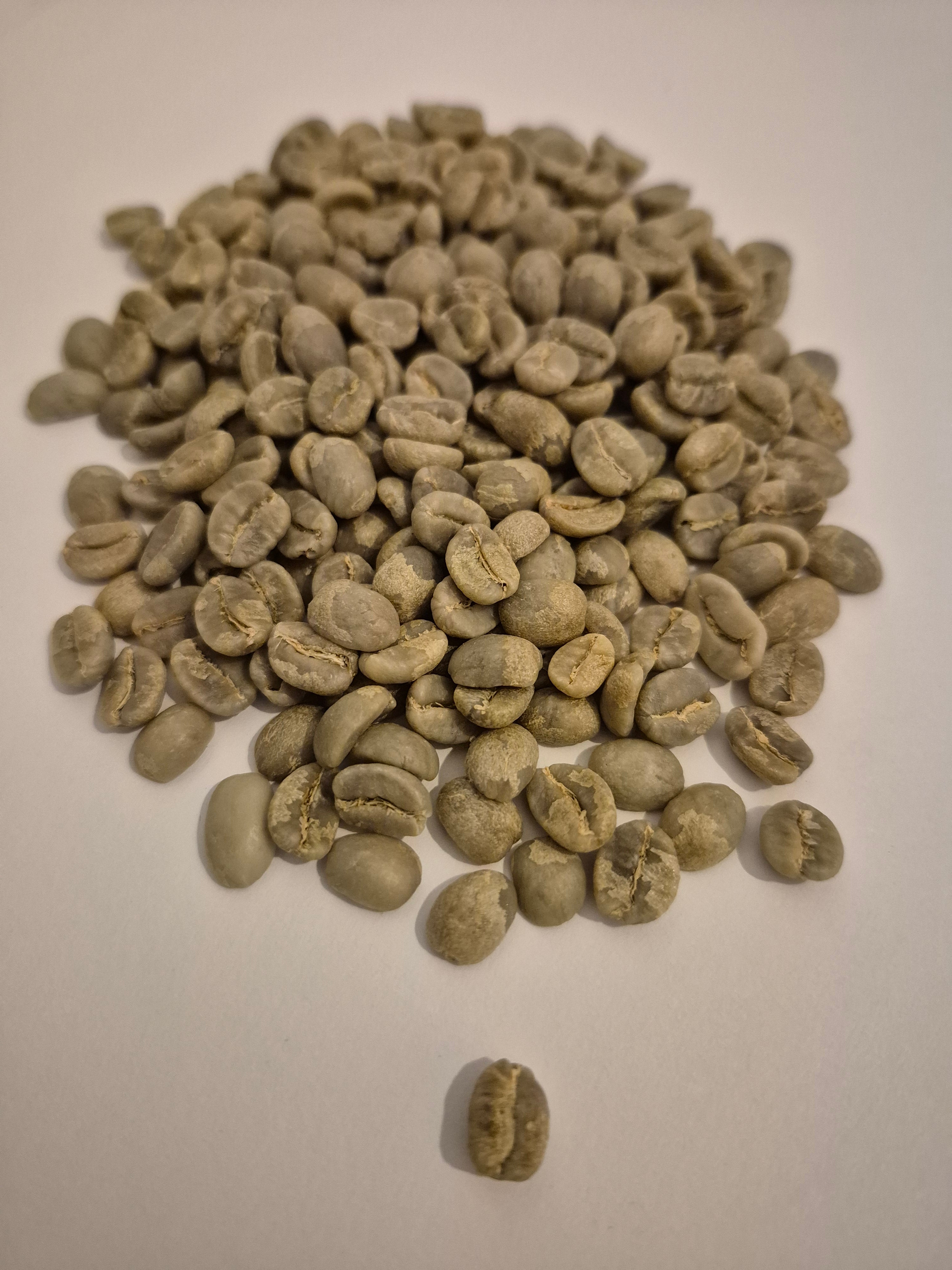 Smart Happys Green Bean Clasico